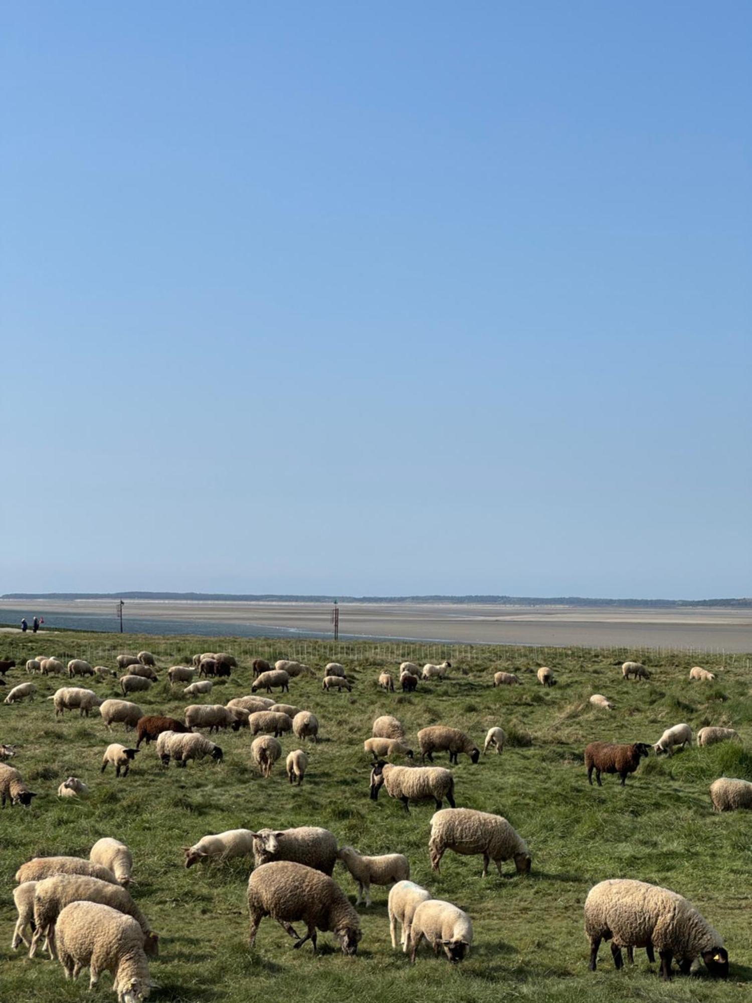 Gite Du Flot - Baie De Somme Boismont  Zewnętrze zdjęcie