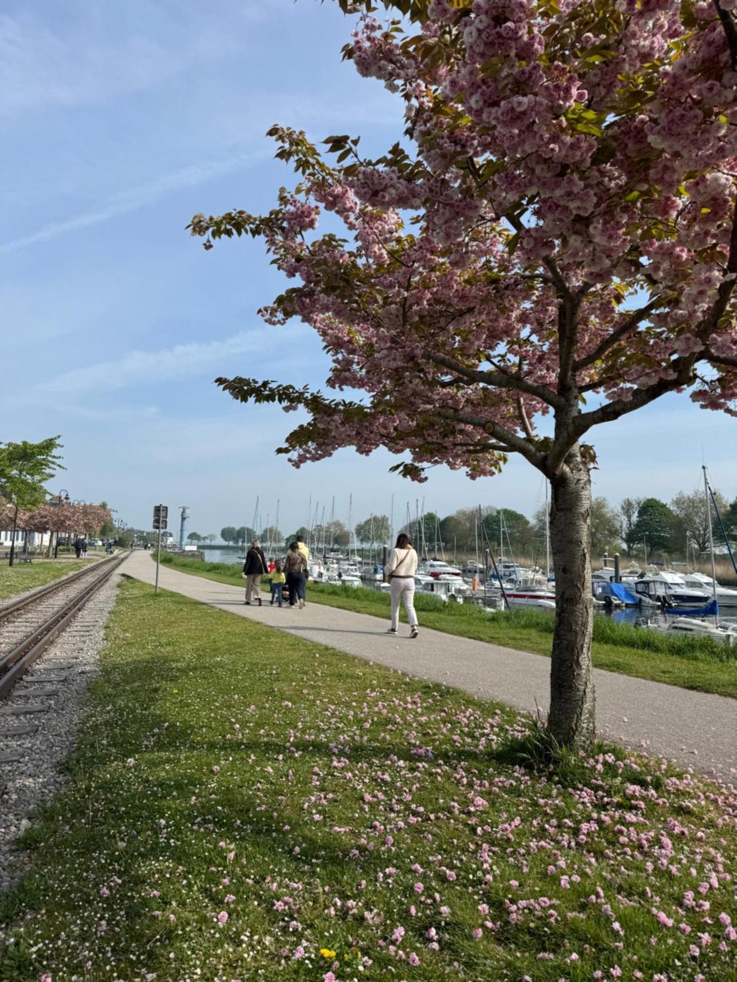 Gite Du Flot - Baie De Somme Boismont  Zewnętrze zdjęcie